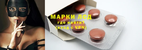 хмурый Мегион
