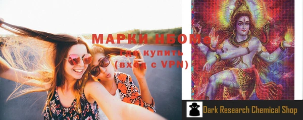 хмурый Мегион