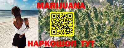 гидра Аргун