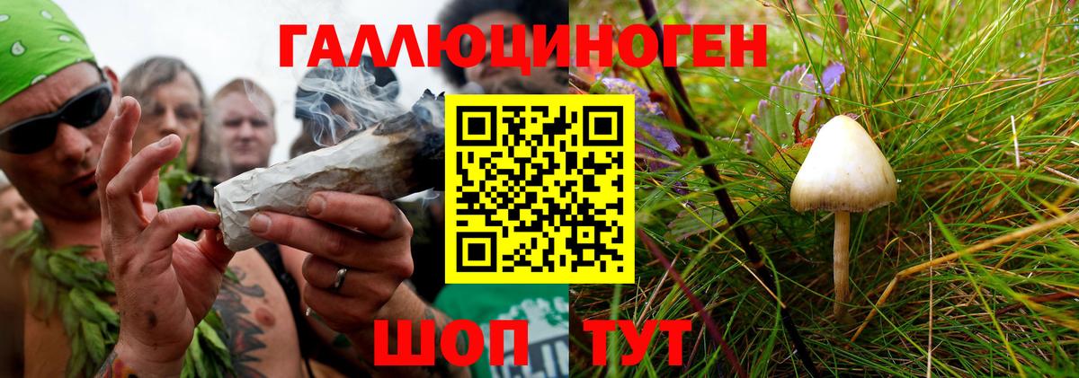 Луховицы  Галлюциногенные грибы Cubensis  Вход с VPN 