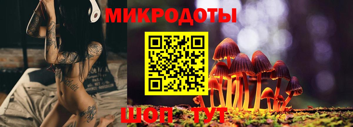 Псилоцибиновые грибы MAGIC MUSHROOMS Луховицы